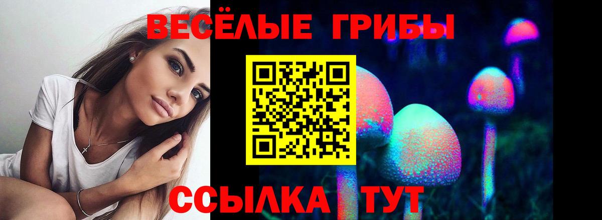 Галлюциногенные грибы мицелий  Псилоцибиновые грибы Psilocybe  Вход с VPN  Куйбышев 